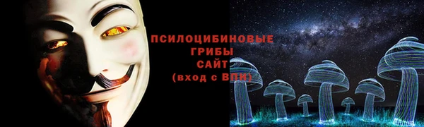 Альфа ПВП Протвино