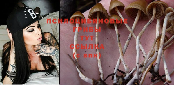 бутират Арсеньев